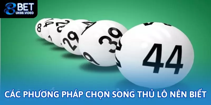 Song thủ lô là gì? Hướng dẫn cách chơi và chiến thuật chuẩn 2 - Các phương pháp chọn song thủ lô nên biết