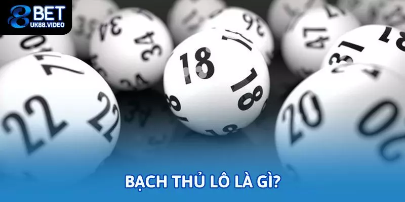 Kinh nghiệm nuôi bạch thủ lô chuẩn, hiệu quả tại 88bet 1 - Tìm hiểu khái niệm và kinh nghiệm nuôi Bạch thủ lô là gì?